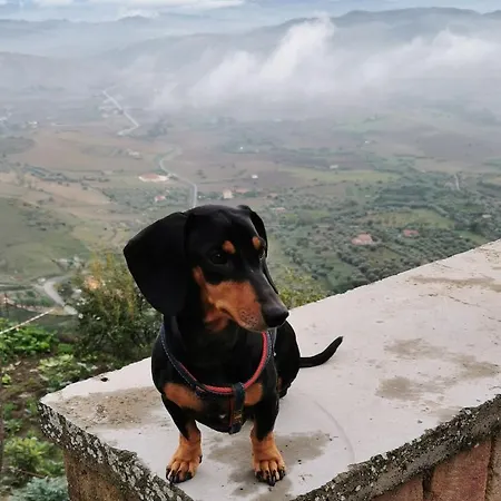 Da Carlotta カターニア